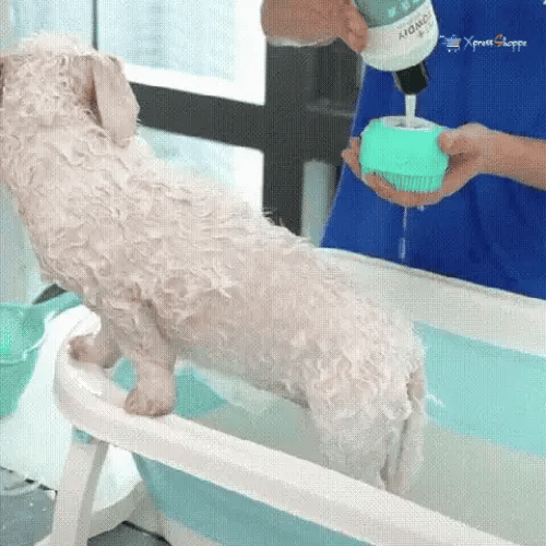Effective Grooming